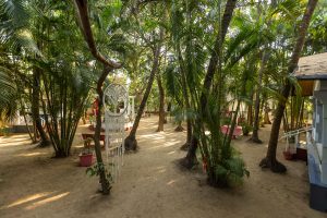 Grounds at the Dream Catcher Retreat Yoga & Spa, India, Goa